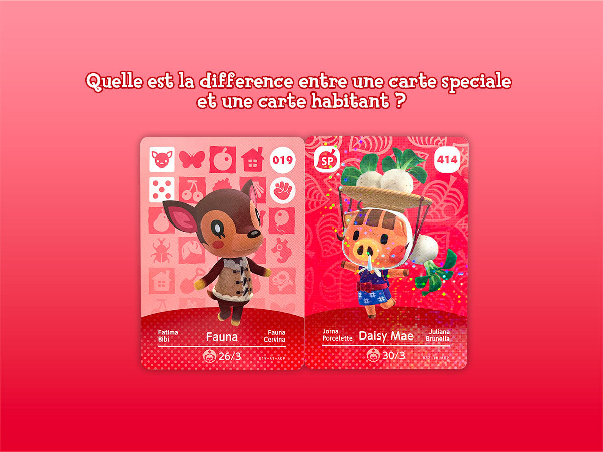 Quels sont les différents types de cartes AC Amiibo ?